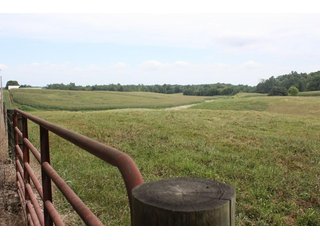 Property photo 51 - LAND AUCTION - 1,193+/- ACRES IN 14 TRACTS IN PIKE & GIBSON COUNTY, INDIANA